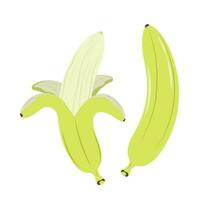 ilustração do uma todo e descascado banana vetor