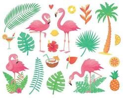 Rosa flamingo e tropical plantas. de praia Palma, africano plantar folhas, floresta tropical flor, trópico Palmeiras folha e rosado flamingos vetor conjunto