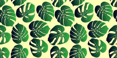 tropical fundo com monstera folhas. desatado floral exótico havaiano padronizar. selva Palma papel de parede. vetor