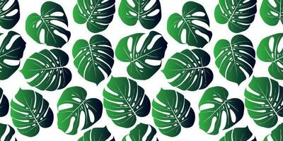 tropical fundo com monstera folhas. desatado floral exótico havaiano padronizar. selva Palma papel de parede. vetor