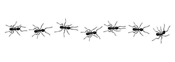 formigas trabalhadoras trilha linha estilo plano ilustração vetorial isolado no fundo branco. vetor