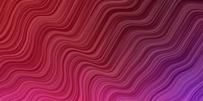 pano de fundo vector roxo, rosa escuro com curvas.