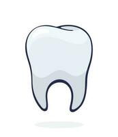 vetor ilustração. limpar \ limpo saudável humano dente. símbolo do somatologia e oral higiene. gráfico Projeto com contorno.