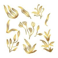 dourado floral vetor ilustração com linha estilo. luxo mão desenhado flores