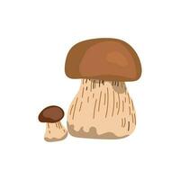 vetor ilustração do Porcini cogumelos em branco. orgânico vegetariano objeto para cardápio, rótulo, receita, produtos embalagem