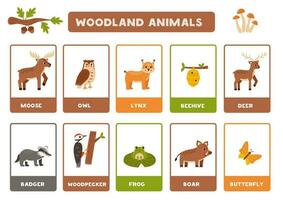 fofa desenho animado bosque animais com nomes. flashcards para Aprendendo inglês. vetor