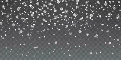 Natal neve. pesado queda de neve. queda flocos de neve em transparente fundo. branco flocos de neve vôo dentro a ar. vetor ilustração