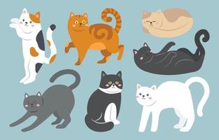 conjunto de caracteres de gato fofo vetor