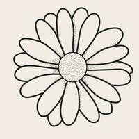 flor linha arte para cumprimento cartões, pacotes, Camisetas, etiquetas vetor