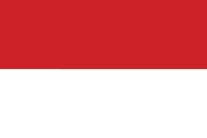 bandeira do Indonésia. indonésio bandeira vetor