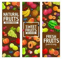 natural Fazenda frutas e bagas vetor faixas