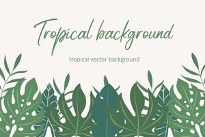 fundo moderno tropical com monstera e folhas de palmeira vetor