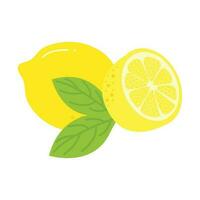 fresco limão ilustração isolado dentro branco fundo. limão fatia desenho animado ilustração. vetor