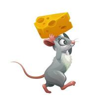 desenho animado cinzento rato com queijo, engraçado rato animal vetor