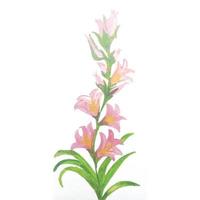 moldura de flores em estilo aquarela isolado no fundo branco vetor