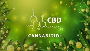 fórmula química de cbd canabidiol em fundo desfocado verde com folhas de cannabis e bolhas de ouro de óleo cbd vetor