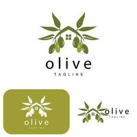 Oliva logotipo, Oliva óleo plantar vetor, natural ervas saúde remédio projeto, ilustração modelo ícone vetor