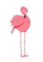Rosa flamingo. fofa e lindo plano Rosa flamingo em branco fundo, verão Projeto para imprimir, crianças desenho, Projeto para camiseta, poster, bandeira, Projeto para tecido e têxtil vetor