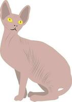 fofa sphynx gato, animal animal desenho animado vetor ilustração