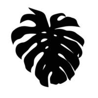 tropical selva monstera folha dentro simples Preto vetor