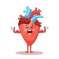fofa desenho animado alegre personagem do saudável humano coração. humano anatomia, médico conceito. ilustração, ícone, vetor