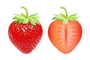 ilustração de fatia de fruta doce de morango para web isolada no fundo branco