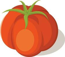 vermelho tomate fruta, isolado fundo. vetor