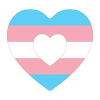 transgêneros orgulho bandeira. trans orgulho bandeira. vetor