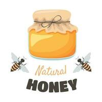 natural mel, uma vidro jarra do querida vetor