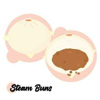 carne coisa vapor pães ou baozi. tradicional chinês Comida para café da manhã ou lanche vetor