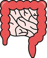 plano ilustração do intestino anatomia vermelho ícone. vetor