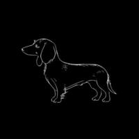 dachshund - Alto qualidade vetor logotipo - vetor ilustração ideal para camiseta gráfico