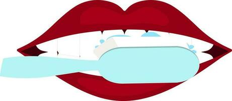 vetor ilustração do fêmea escovar acima e baixa do dela dentes.