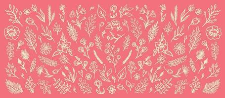 mão desenhado vetor vintage elementos do flores, folhas, penas, raminhos em a pastel Rosa background.vector ilustração.flores dentro a rabisco estilo.