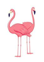 dois Rosa flamingo. fofa e lindo plano Rosa flamingo em branco fundo, verão Projeto para imprimir, crianças desenho, Projeto para camiseta, poster, bandeira, Projeto para tecido e têxtil vetor