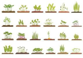crescendo microgreens ícones conjunto desenho animado vetor. plantar ervilha vetor