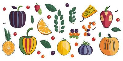 refrescante e suculento fruta ilustrado dentro vetor deleite