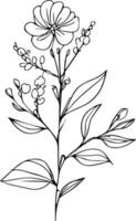 fácil botânico rabiscos. estético flor rabiscos, botânico desenhos, botânico desenhos do flores, botânico desenhos do flores silvestres, estético flores silvestres desenhos, botânico folha clipart, vetor