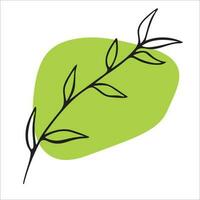 vetor ilustração do a esboço do uma ramo em uma verde ver.