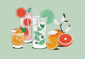 Vintage citrus bebidas ilustrações vetoriais