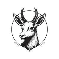 almíscar cervo, vintage logotipo linha arte conceito Preto e branco cor, mão desenhado ilustração vetor