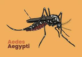 ilustração do Aedes aegypti mosquito vetor