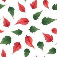 desatado padronizar com vermelho poinsétia folhas. adequado para invólucro papel, papeis de parede, decoração, Natal decorações vetor