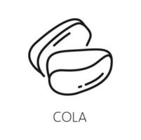 cola nozes Coca ingrediente isolado superalimento ícone vetor