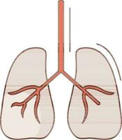 vetor ilustração do pulmões.
