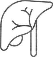 Preto linha arte ilustração do fígado ícone. vetor