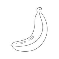 vetor ilustração do banana dentro rabisco estilo