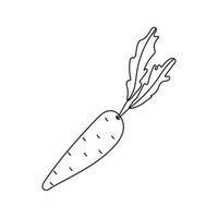 vetor ilustração do uma cenoura dentro rabisco estilo