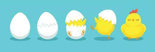 frango incubação. rachado pintinho ovo, Escotilha ovos e chocado Páscoa filhotes desenho animado vetor ilustração