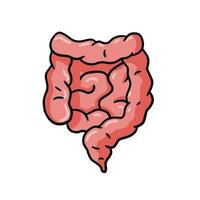 intestino interno órgão. humano Rosa digestivo trato. médico ícone. ilustração isolado em branco vetor